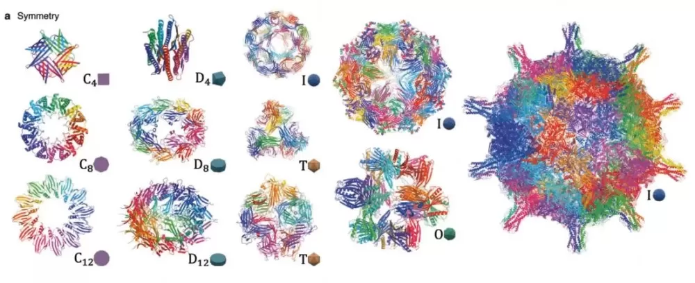 protein structure generation